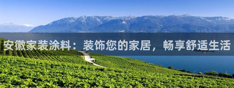 和记国际：安徽家装涂料：装饰您的家居，畅享舒适生活