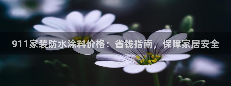 和记网页版：911家装防水涂料价格：省钱指南，保障家居安全