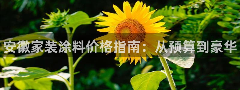和记ag登录