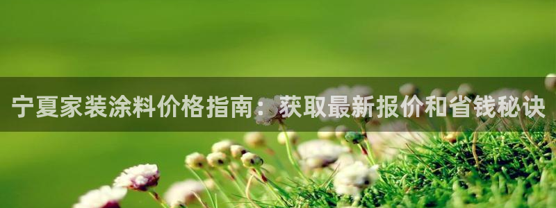 和记港口：宁夏家装涂料价格指南：获取最新报价和省钱秘诀