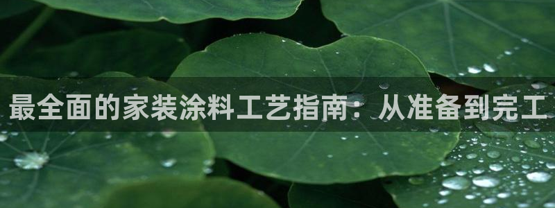 和记平台注册：最全面的家装涂料工艺指南：从准备到完工