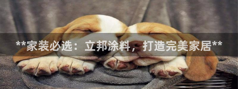 和记paging