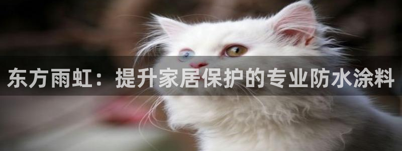 和记AG网站