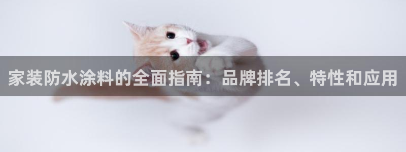 和记AG旗舰：家装防水涂料的全面指南：品牌排名、特性和应用