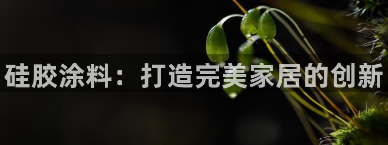 和记官方直营注册