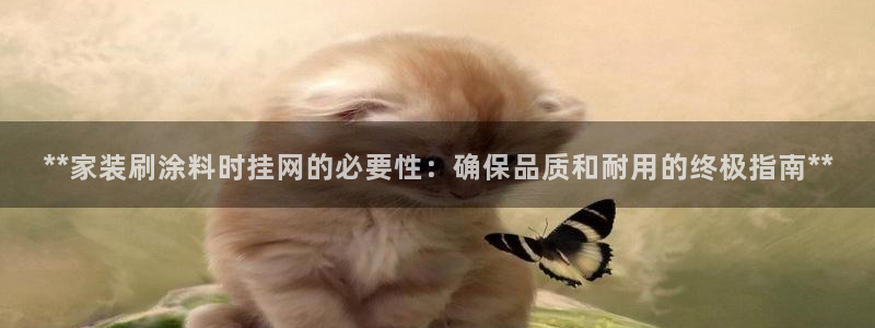 和记平台官方网：**家装刷涂料时挂网的必要性：确保品质和耐用的终极指南**