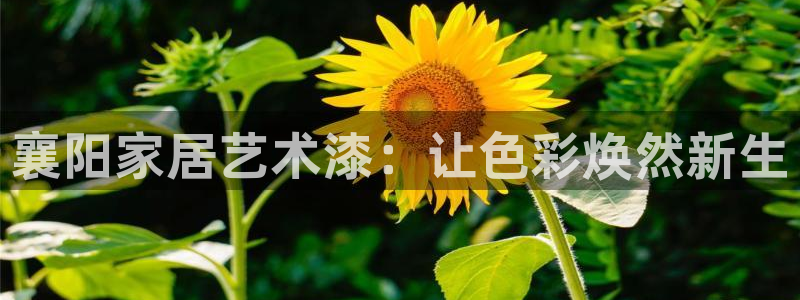 上海和记餐饮有限公司：襄阳家居艺术漆：让色彩焕然新生