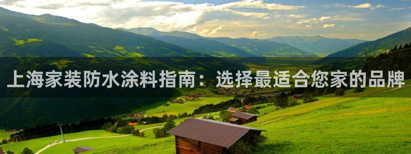 和记广告女主角