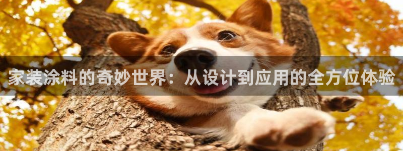 和记 中国官网：家装涂料的奇妙世界：从设计到应用的全方位体验