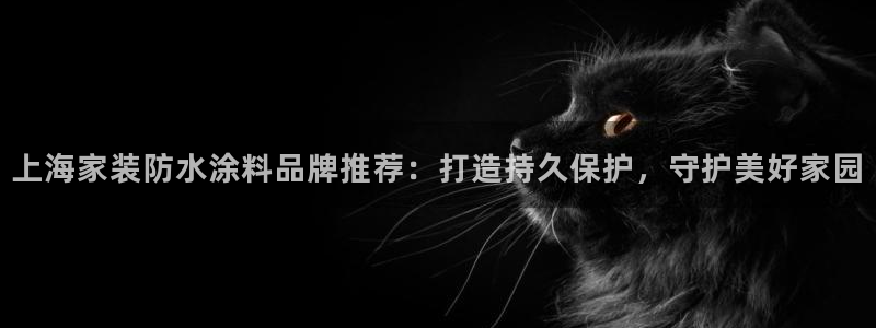 和记官方网址：上海家装防水涂料品牌推荐：打造持久保护，守护美好家园