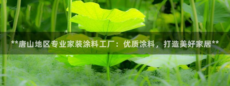 和记平台怎么样：**唐山地区专业家装涂料工厂：优质涂料，打造美好家居**