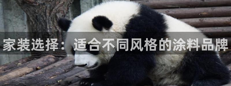 和记平台登录：家装选择：适合不同风格的涂料品牌