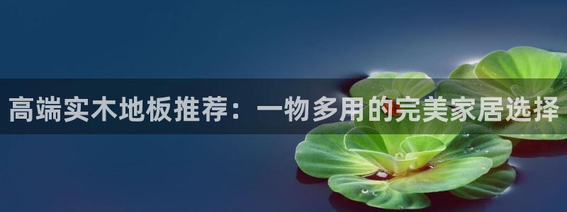 和记国际：高端实木地板推荐：一物多用的完美家居选择