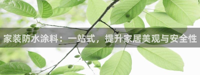 和记国际