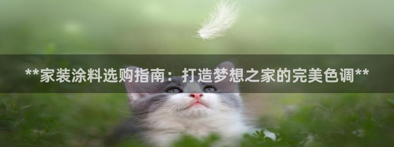 和记娱好网址：**家装涂料选购指南：打造梦想之家的完美色调**