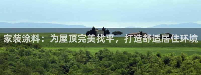 江苏和记餐饮有限公司：家装涂料：为屋顶完美找平，打造舒适居住环境