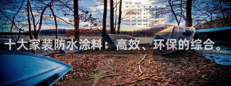 和记官网首页：十大家装防水涂料：高效、环保的综合。