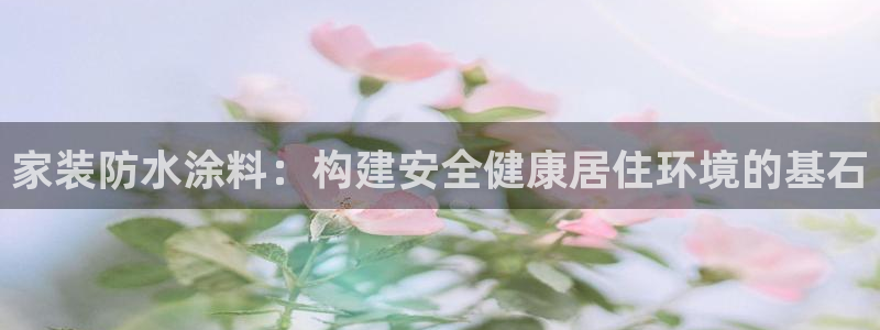 和记paging：家装防水涂料：构建安全健康居住环境的基石