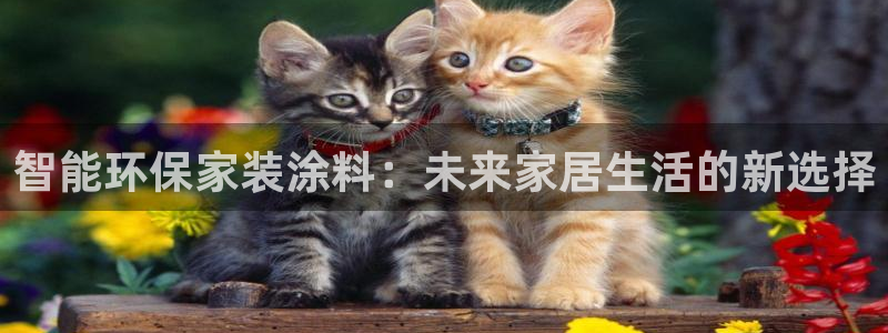 和记 官网：智能环保家装涂料：未来家居生活的新选择
