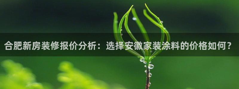 和记官方：合肥新房装修报价分析：选择安徽家装涂料的价格如何？