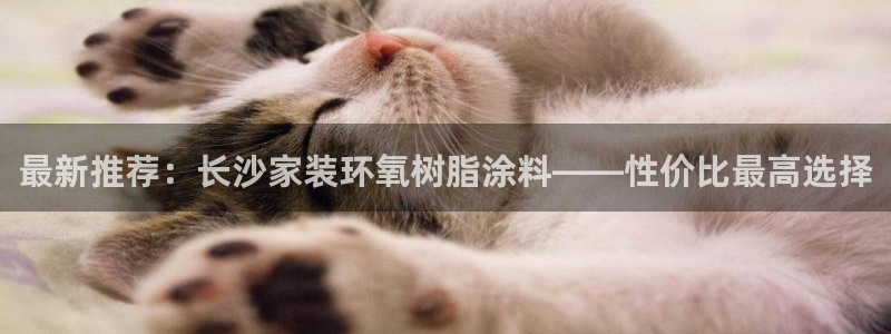 和记H88：最新推荐：长沙家装环氧树脂涂料——性价比最高选择