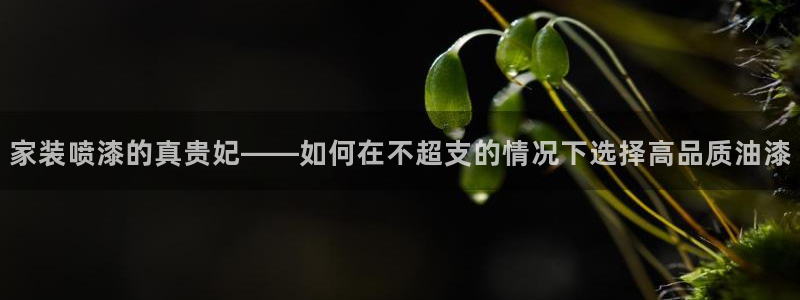 和记官网首页
