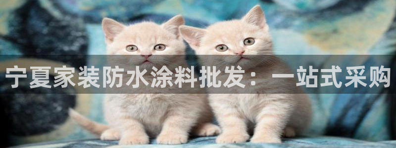 和记ag旗舰厅：宁夏家装防水涂料批发：一站式采购