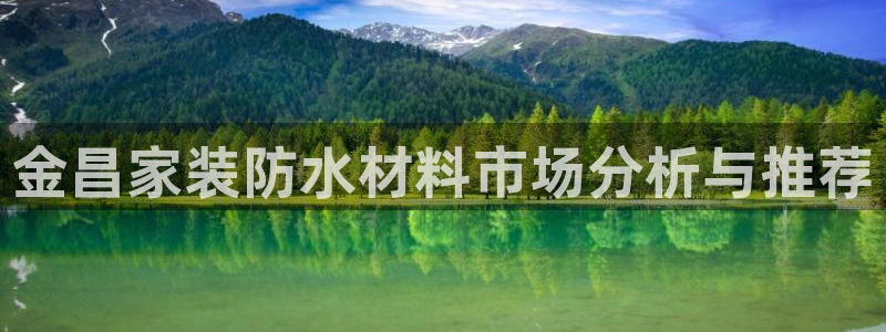 和记网页版登陆：金昌家装防水材料市场分析与推荐