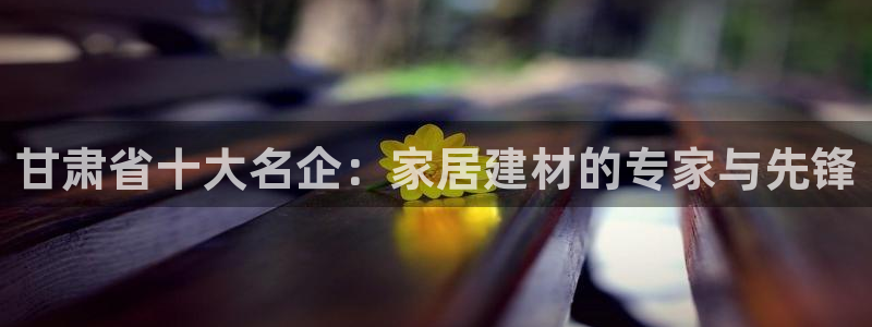 和记官网 公司
