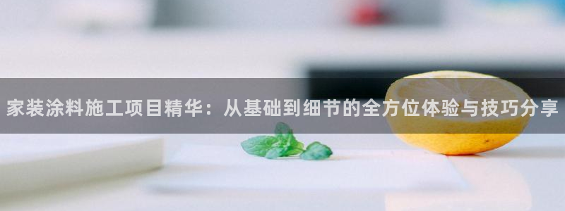 和记国际客服：家装涂料施工项目精华：从基础到细节的全方位体验与技巧分享