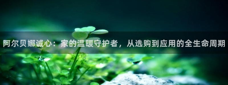 和记paging：阿尔贝娜诚心：家的温暖守护者，从选购到应用的全生命周期
