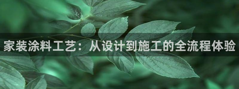 和记官网[中国]官方网站：家装涂料工艺：从设计到施工的全流程体验