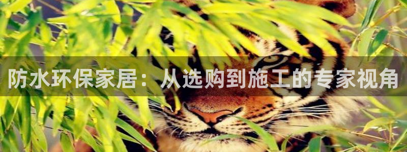 和记下载：防水环保家居：从选购到施工的专家视角