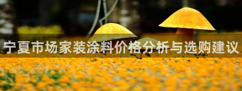 和记国际听