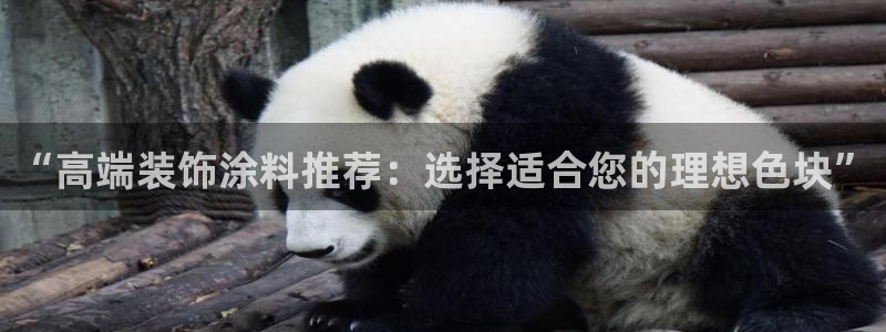 和记国际听：“高端装饰涂料推荐：选择适合您的理想色块”