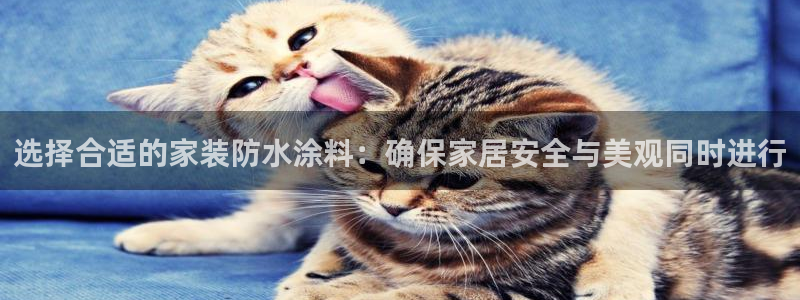 和记官方网址：选择合适的家装防水涂料：确保家居安全与美观同时