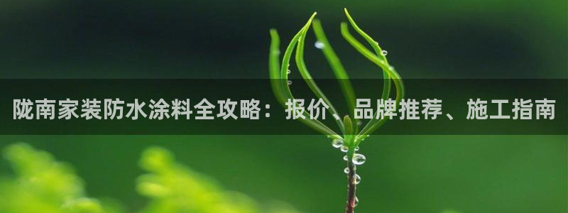 江苏和记数码科技有限公司：陇南家装防水涂料全攻略：报价、品牌