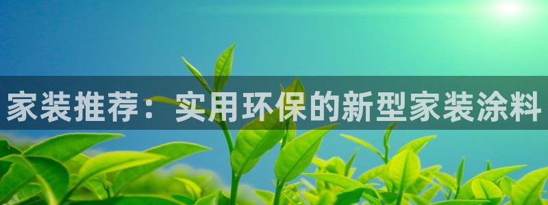 和记国际：家装推荐：实用环保的新型家装涂料