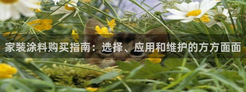 和记官方平台：家装涂料购买指南：选择、应用和维护的方方面面