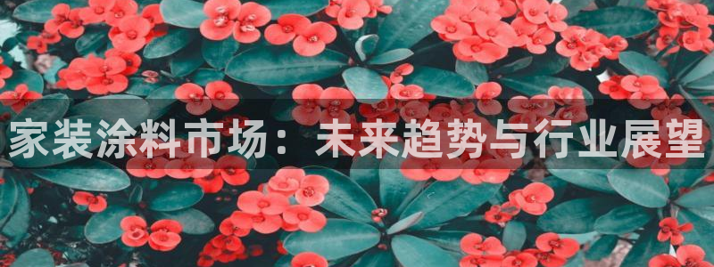 和记(福建)商贸有限公司：家装涂料市场：未来趋势与行业展望