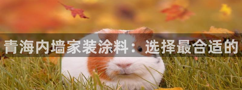 和记国际开户：青海内墙家装涂料：选择最合适的