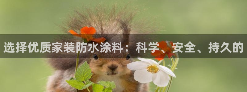 和记平台官网：选择优质家装防水涂料：科学、安全、持久的