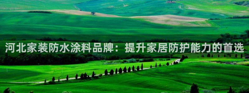 下载和记app：河北家装防水涂料品牌：提升家居防护能力的首选