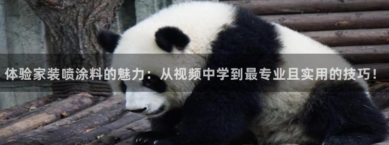 和记下载：体验家装喷涂料的魅力：从视频中学到最专业且实用的技