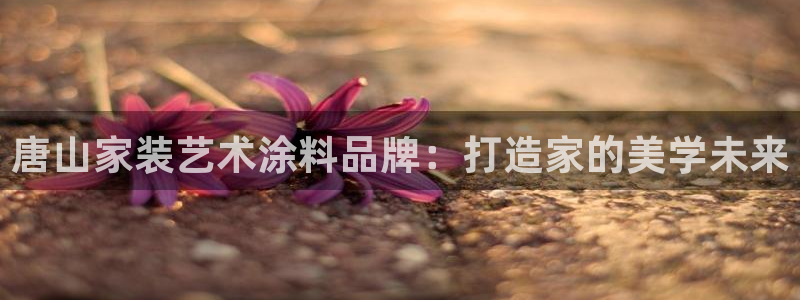 和记平台怎么样：唐山家装艺术涂料品牌：打造家的美学未来