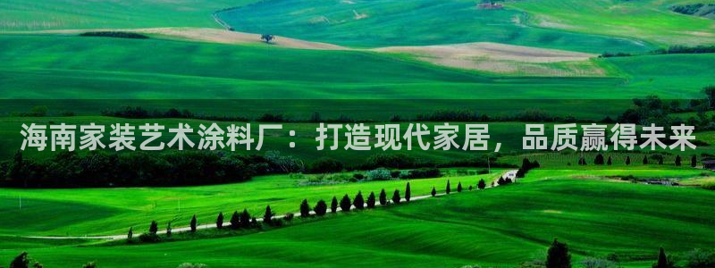 和记下载：海南家装艺术涂料厂：打造现代家居，品质赢得未来