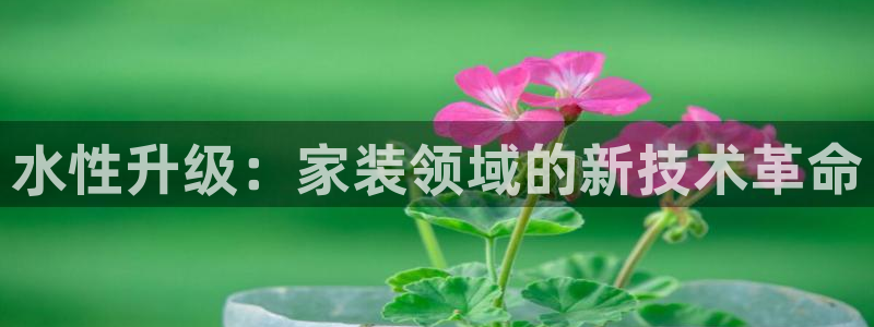 和记pc：水性升级：家装领域的新技术革命