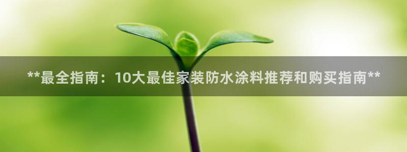 和记 官网：**最全指南：10大最佳家装防水涂料推荐和购买指南**