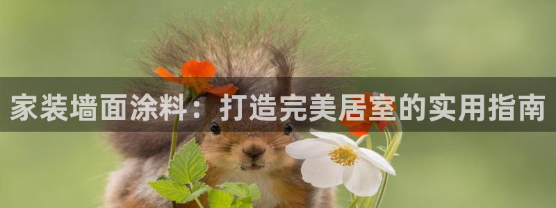 和记h88最新客户端下载：家装墙面涂料：打造完美居室的实用指