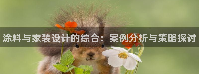 和记AG网站：涂料与家装设计的综合：案例分析与策略探讨
